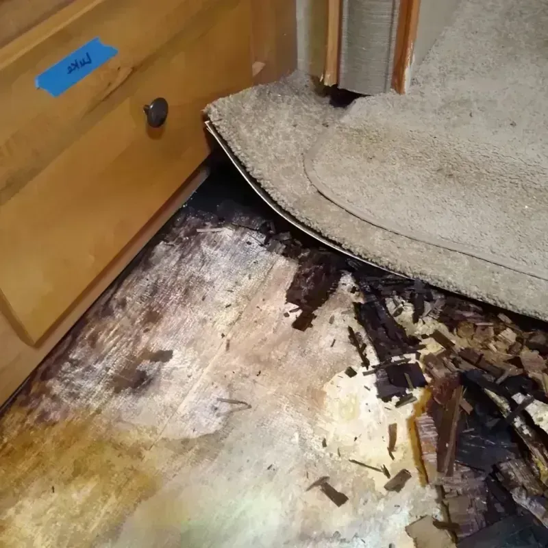 Wood Floor Water Damage in University Park, MD